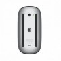 Apple Magic Mouse - Surface Multi-Touch - Noir